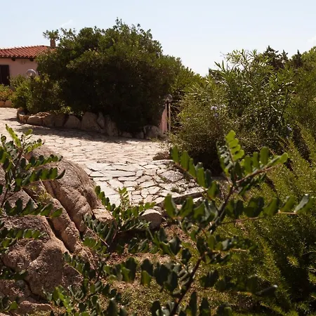 Villa Con Magnifico Terrazzo Iun P6868